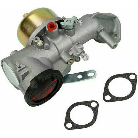 Carburateur pour moteurs Briggs & Stratton 12CV – Performance optimisée – Inclus joints et kit nettoyage – Modèles compatibles 491026/281707/491031 (1/5)