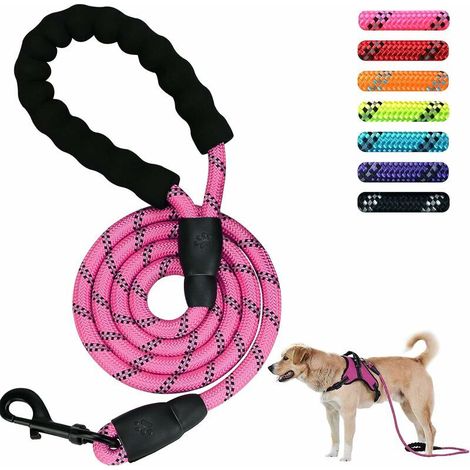 Hundeleine – Leistungsstarke Haustierleine 5 FT 1,5 m (Rosa) – DOLASO (1/4)