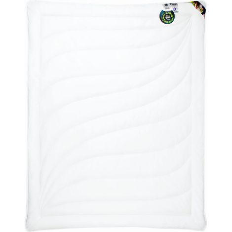 Couette en percale 100 % 220 x 200 cm Toutes saisons 1600 g Exclusive Premium (1/5)