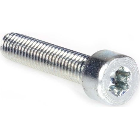 Vis Torx 27 M6 x 30 pour tronçonneuse Stihl 046 MS460
