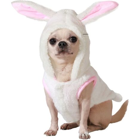 Costume per Cane Taglia M Coniglio (1/4)