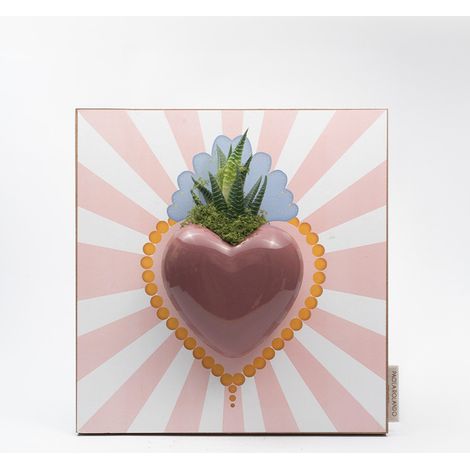 Pianta grassa succulenta in cuore ceramica Made in Italy Cuore Radiale - Rosa (1/3)