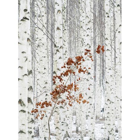 Papier peint panoramique nature aspect branche | Tapisserie panoramique noir et blanc et brun couloir | Papier peint panoramique foret effet arbre - 192 X 260 cm (4 pièces) (1/2)