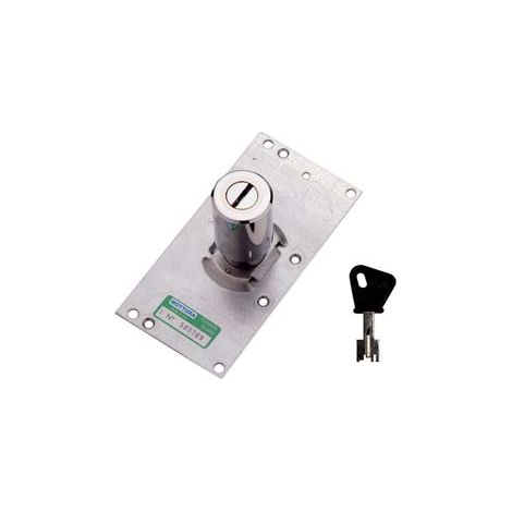 CILINDRI A POMPA PER SERRATURE CON 3 CHIAVI PIASTRA RETTANG. Ø MM.34- - 91284 mm.60 adatto per 30.406 - 30.436-437 - 1 pezzi MOTTURA