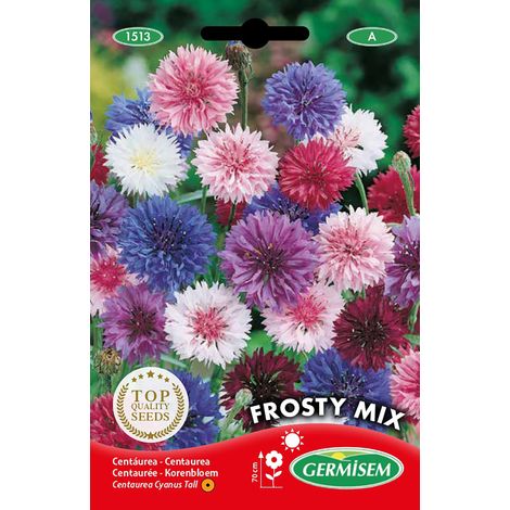 Graines Centaurée FROSTY MIX