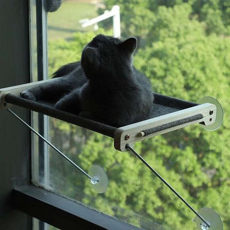 Chaise Longue de Fenêtre pour Chat, Hamac pour Chat en Bois Massif, Chat de Rebord de Fenêtre Transparent, Facile à Monter, Capacité de Charge (1/4)