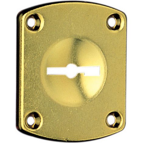 10PZ C.R. ART. 31 BOCCHETTA DORATA X SERRATURA (1/2)