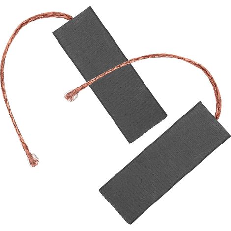 Balais de Charbon Graphite et Fil de Cuivre pour Moteur de Lave-linge Lot de 2 Remplacement Facile, Performance Stable (1/5)