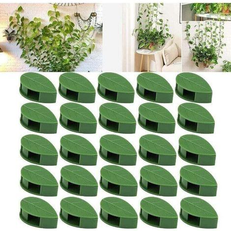 Tuteur pour végétaux 50pcs Clips de fixation murale pour plantes grimpantes, Clips muraux auto-adhésifs en forme de feuille pour plantes de vignes murales (50) (1/5)