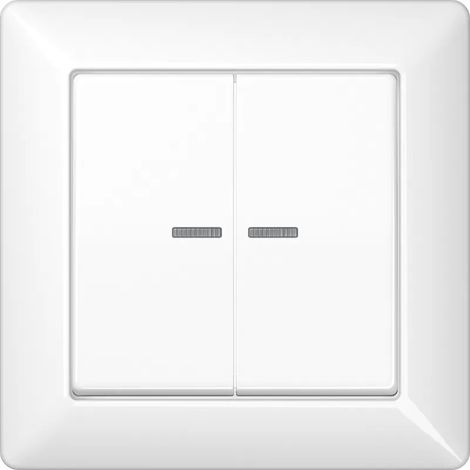 Jung Abdeckung Lichtleiter aws für Taster AS 590-5 KO5 WW (1/2)