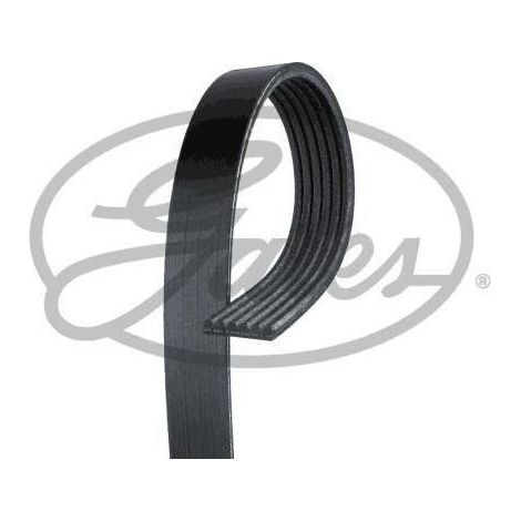 Courroie trapézoïdale à nervures Gates 6PK1098 AUDI 030145933 038903137N