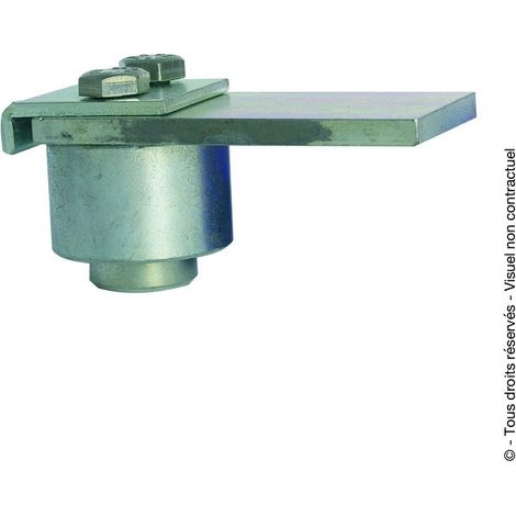 PIVOT SUPERIEUR REGLABLE A ROULEMENT D50 ZG.BL - TORBEL INDUSTRIE - A200245 - Lot de 4