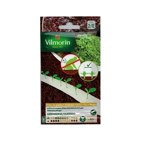 Semillas de LECHUGA GRENADINE/QUERIDO Vilmorin (cultivo fácil)