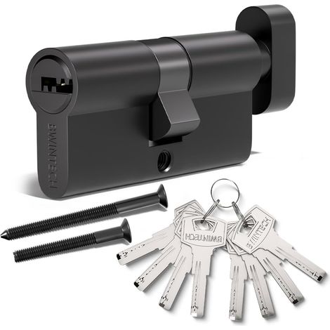60mm(30/30) Serrure à cylindre européen en alliage de nickel et zinc, serrure à barillet, clé avec 8 clés à fossettes horizontales