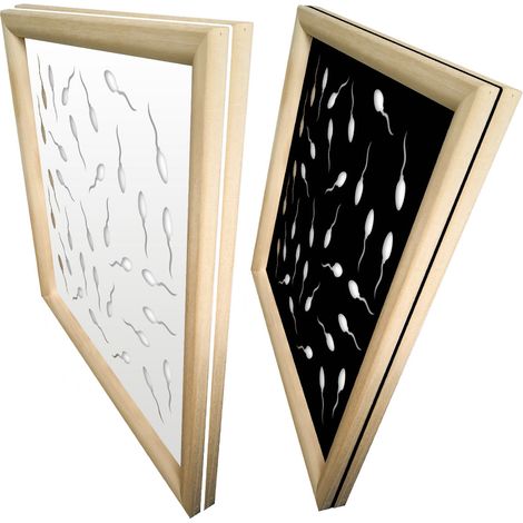 MAYBE LIFE - Modules décoratifs en bois et PVC - Couleur : blanc - Dimension : 48x48 cm