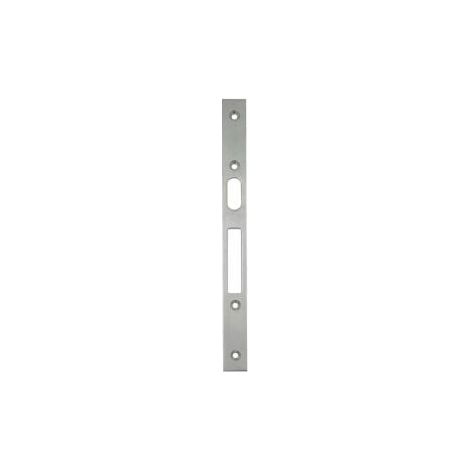 Flachschließbl.STA Verzinkt B.22xL.250mm SCHNEGEL (1/2)