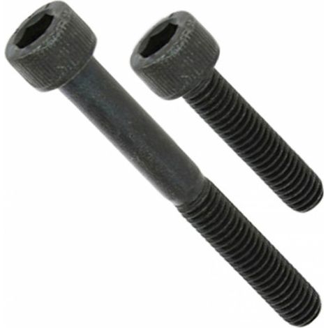 Vis 6 pans creux CHC - tête cylindrique - Brut [filetage total ou partiel] (boîte) - Ø mm: 12 - Long. mm: 40 - Filetage: Total - Cond.: 100 (1/3)