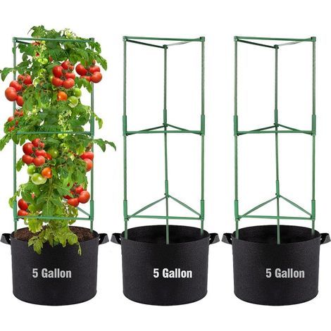 Lot de 3 - Cage à tomates - Sac de culture - Support plante grimpante - Structure carrée en acier - Jardin potager extérieur - Gris - 120x40 cm (1/5)