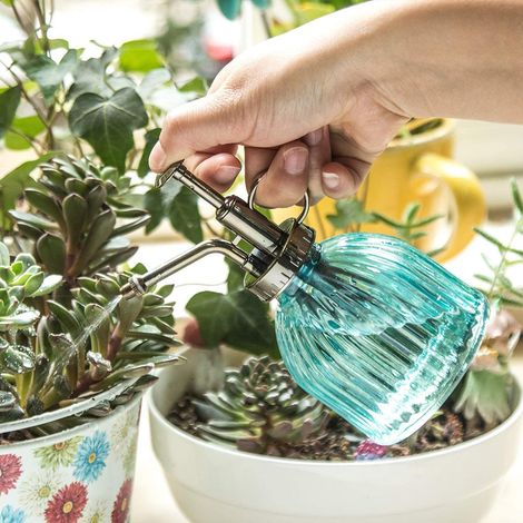 Bouteille pulvérisateur en verre rétro, pommeau en plastique, brumisateur pour plantes, arrosage, outil de jardin, vaporisateur eau. (1/5)