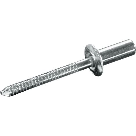 GOEBEL - 250 x Rivets étanches 4,8 x 8 mm - Acier inoxydable A2 / acier inoxydable C1 - Tête plate - CUP - 2180148800 - ISO16585 (1/5)