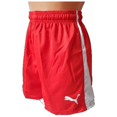 G1761 PUMA V5.06 HANDBALL-SHORTS FÜR DAMEN S (1/4)