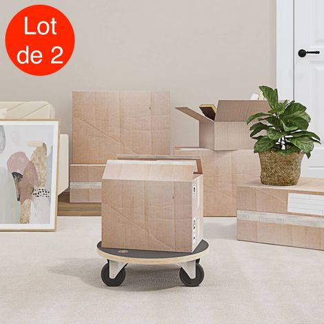 2 Chariots Manutention sur roulettes, Diamètre 38 cm Charge Maximale De 250 kg Avec Roulettes (1/5)