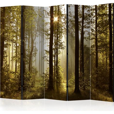 Paravento - Forest: Morning Sunlight  II [Room Dividers] - 225x172 (1/4)