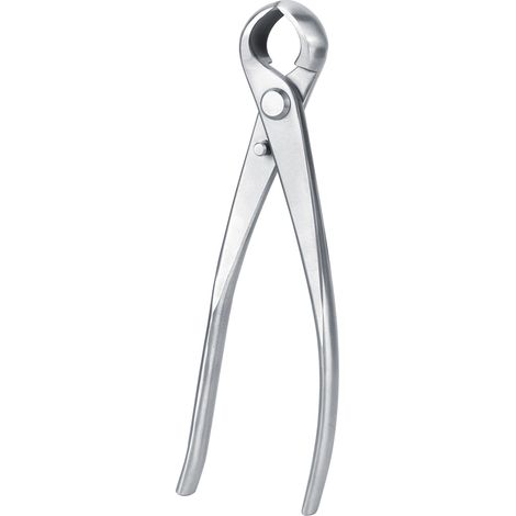 Sécateur de jardin 183mm pour coupe de branches, cisaille à bonsaï, outil d'élagage pour plantes en pot (1/5)