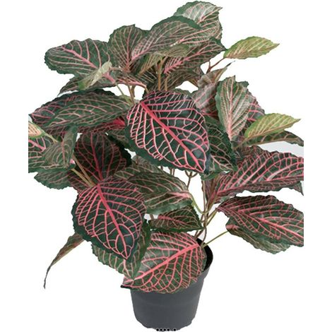 Fitonnia artificiel en pot, H 40 cm, D 40 cm Vert-rose - couleur: Vert-rose (1/3)