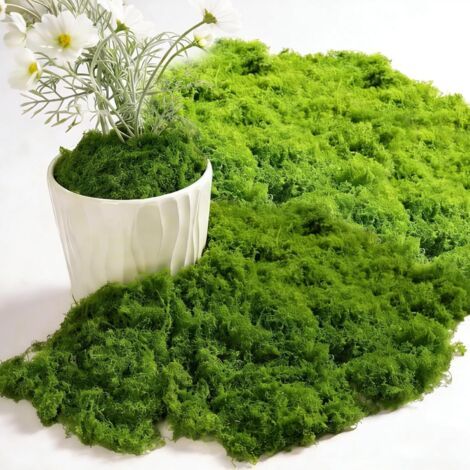 200g Artificial Moss, Dark Green and Light Green, 100g Each, Fake Moss Plant for Wall Decoration, Nativity Scene, Aquarium, Nativity Models, Artificial Plants, DIY Home Decor (1/5)