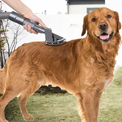 Compatible avec les brosses pour animaux de compagnie des aspirateurs Dyson V6, V7, V8, V10, V11 et V15 (têtes de brosse pour poils de chiens et de chats à poils longs). (1/5)
