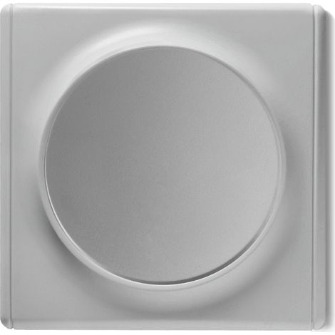 Interrupteur simple allumage avec plaque de finition Florence - gris