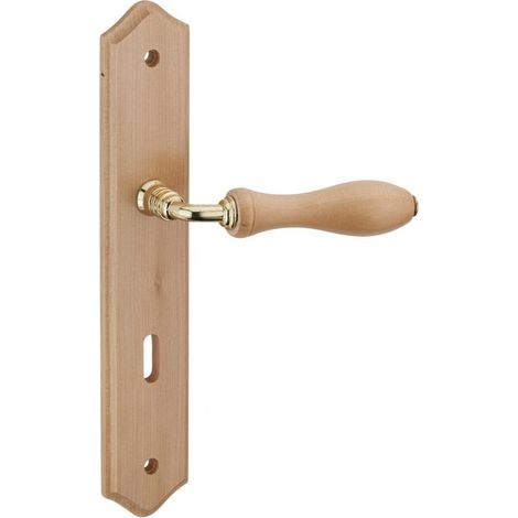 Poignée de porte Themis trou de clé – Bois brut – Entr'axe 195 mm – Acier 7 mm – Vis métal sécables (1/3)