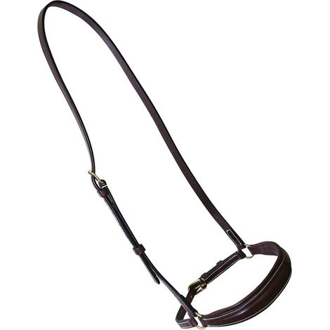 marrone - Cavezza en or hanovrien en forme de cuir anglais avec boucles en laiton