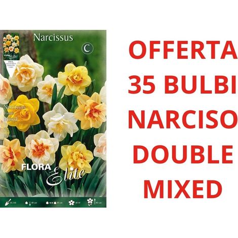 OFFERTA 35 BULBI DI BULBI NARCISO DOUBLE MIX BULBS BULBES