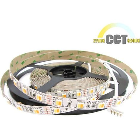 Bobina Striscia Striscia Strip Led CCT 300 SMD 5050 WWR 12V Bianco Caldo Neutro Freddo Tutto In Uno Da 2700K A 10000K 5 Metri IP20