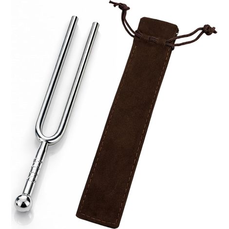 1 pièce diapason 440 Hz, aide à l’accordage pour instruments de musique, acier inoxydable, ton de référence clair pour l’entraînement de l’oreille et les cours, sac inclus (1/5)