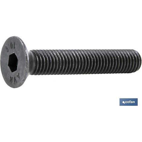 Pack de 200 vis DIN 7991 C-10.9 M-4 X 25 N