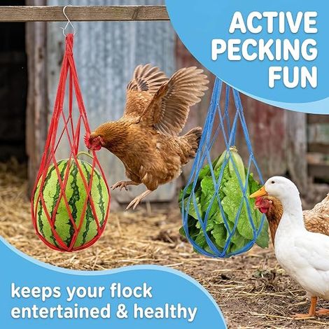 Nylon Chicken Feeder Fruit (1/4)