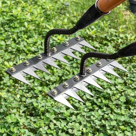 Gartenrechen aus Kohlenstoffstahl – 5 Zinken – Unkraut- und Vertikutiergerät für Lehmböden – Langlebig und effizient (1/5)