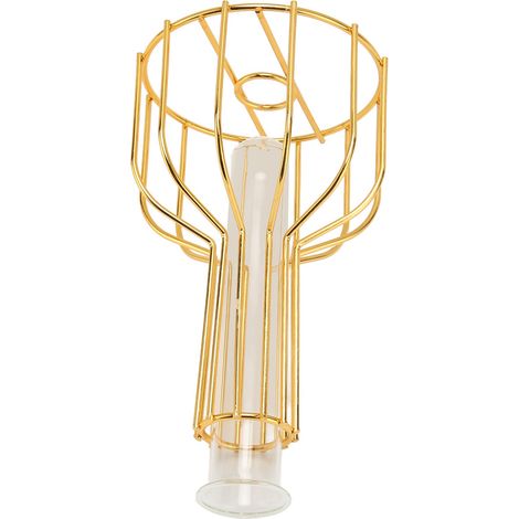 Vase décoratif créatif et minimaliste en fer forgé ajouré pour le salon, vase en verre transparent pour fleurs artificielles et fleurs séchées. (1/5)