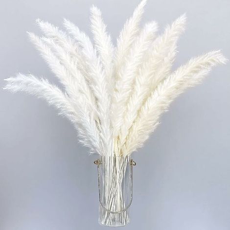 Lot de 30 Herbes de Pampa artificielles séchées de Style bohème - Décoration d'intérieur - Phragmites - Fleurs séchées - pour vases, Bouquet de Fleurs Blanches - pour Mariage,55cm (1/4)