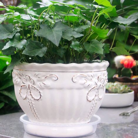 Soucoupe pour Plante - 10 pièces - Plastique Transparent - Diamètre 21cm - Anti-fuite et Aéré - Indoor/Outdoor (1/5)