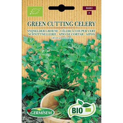 Bio Graines Céleri à couper Vert GREEN CUTTING CELERY