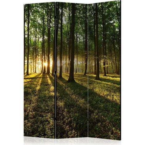 Paravent 3 Volets "Morning in the Forest" 135x172cm (1/2)