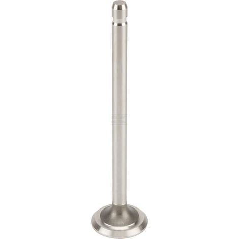 Soupape d'échappement BRIGGS & STRATTON FGP014314