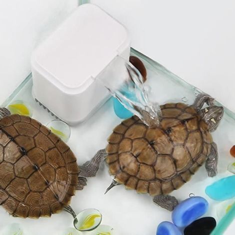 EN-02 3-in-1 Wasserfall-Schildkrötenpumpe - Tbest - Flachwasser-Schildkrötenbeckenfilter (1/4)