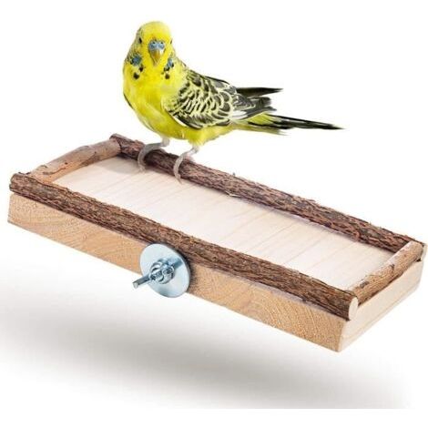 Perchoir en Bois - Naturel - 20x10cm - Pour Petits Oiseaux - Montage Facile - Intérieur (1/4)