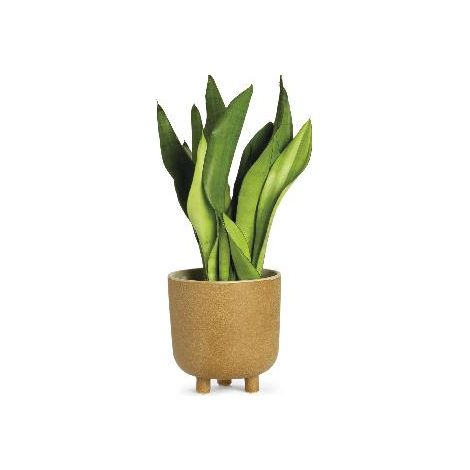 ANDREA HOUSE AX71193 Maceta Cerámica Beige Ø18X18,5 Cm - ref: AX71193