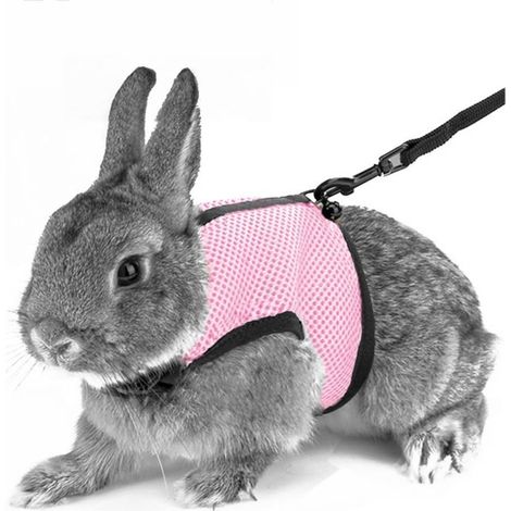 Harnais - Laisse Élastique - Pour Lapins Chinchillas Et Rongeurs - Tour De Poitrine Réglable 25 À 32 Cm - Rose - 1 Pièce (1/4)